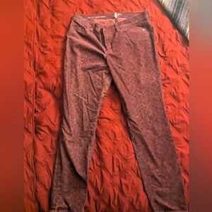 Ann Taylor Loft Maroon Corduroy Skinny Jeans 31/12